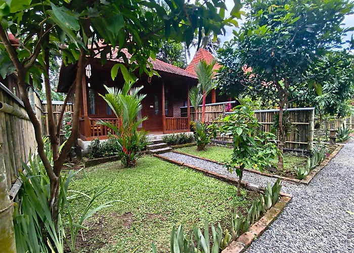 Bali Koempi Close To By Eco Tradi