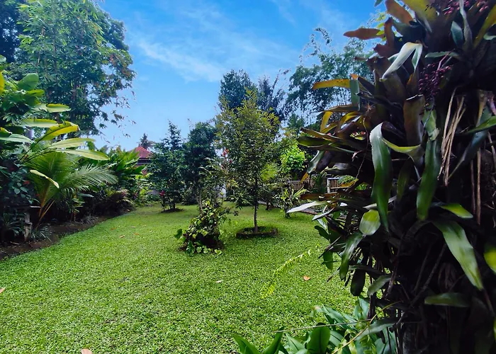 Bali Koempi Close To By Eco Tradi Ubud