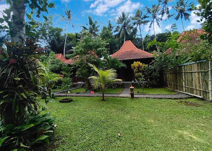 Bali Koempi Close To By Eco Tradi *