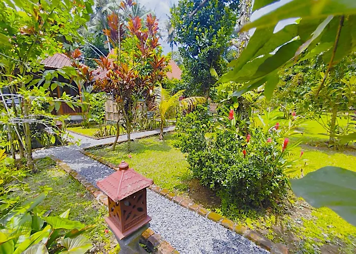 Bali Koempi Close To By Eco Tradi